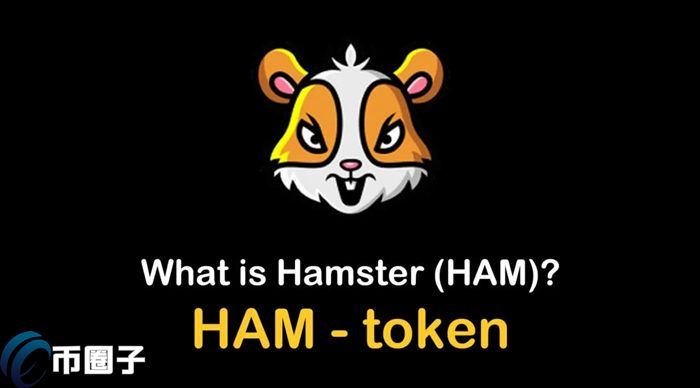 HAM是什么币种？一文了解仓鼠币/HAM币