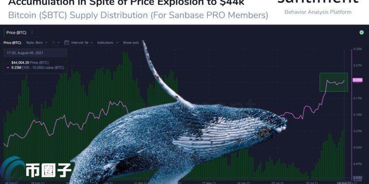 比特币巨鲸持有量达923万枚BTC！3大数据网皆释放长期利多