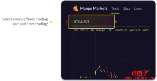 如何在Mango Markets进行现货杠杆交易插图5