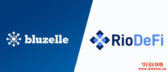 RioDeFi与BluzelleDB合作，安全存储DeFi数据