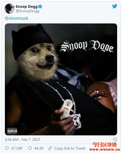 Snoop Dogg也喊盘，狗狗币告诉你什么是社群共识的影响力