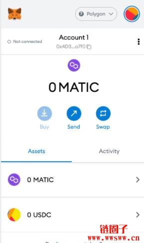 如何将Polygon添加至MetaMask？插图17