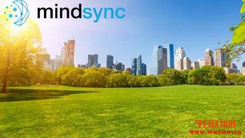 MindSync是什么以及它是如何工作的