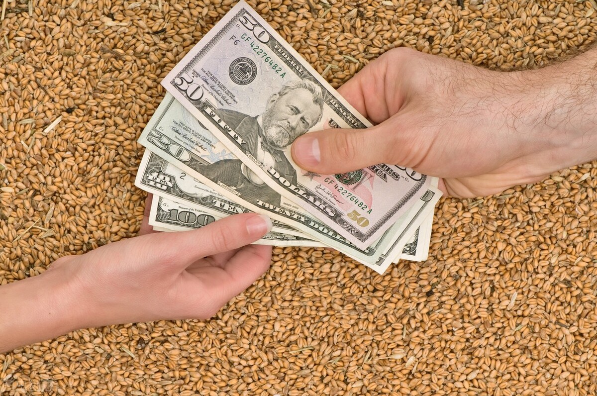 小麦价格最新行情解析（地继续探底，又跌1毛2详解）