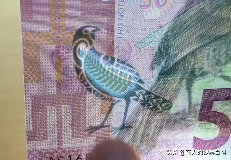 新西兰币怎么样（对人民币及美元的汇率详解）