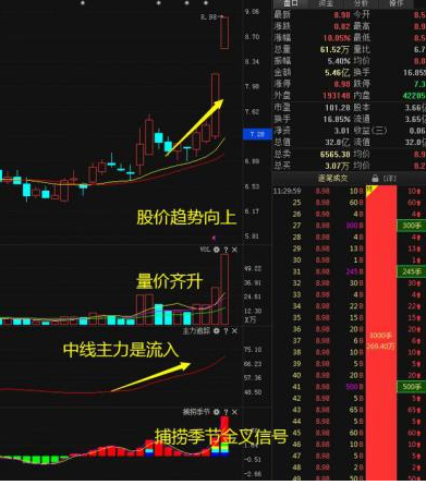 中国石化股票解析（能长期持有及分红详解）