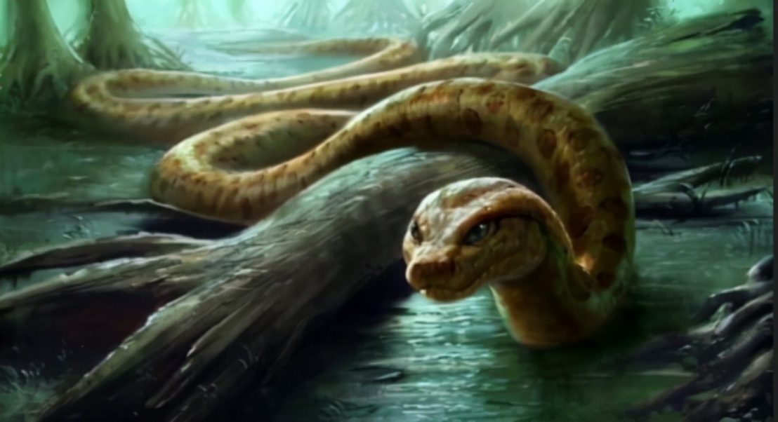 蛇的寿命多少年（寿命可达20万年）