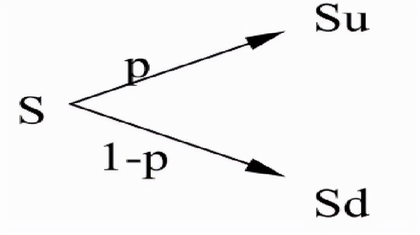 什么是二叉树模型（从二叉树模型看投资理念与交易策略详解）