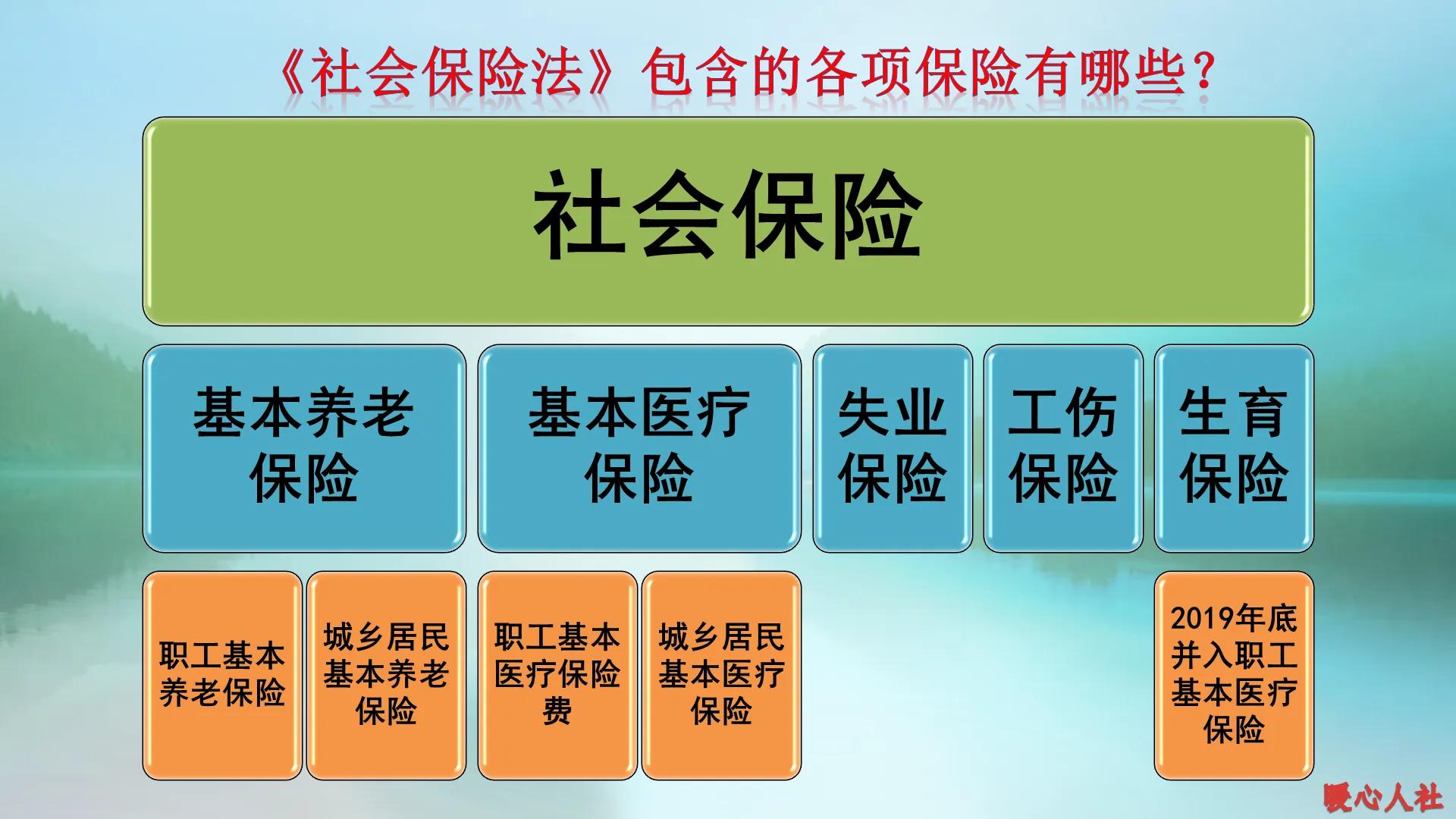 社保包括哪些保险（社保一个月交多少）插图