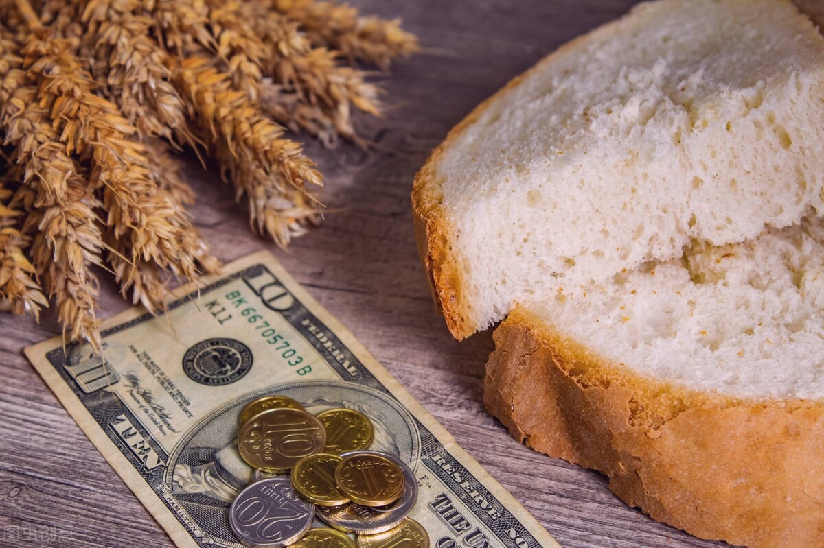 小麦价格解析（小麦价格开始下跌，行情要变）