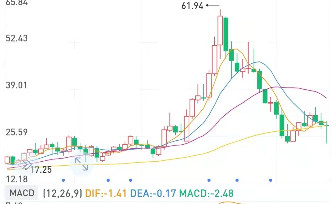 双汇发展股票最新分析（2021年年报分析及分红对长期持有股票价值分析）