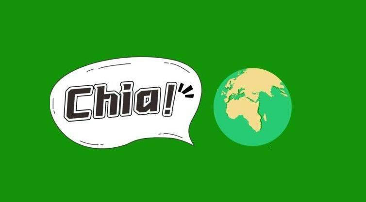 Chia(奇亚)挖矿必看 chia奇亚挖矿硬件科普
