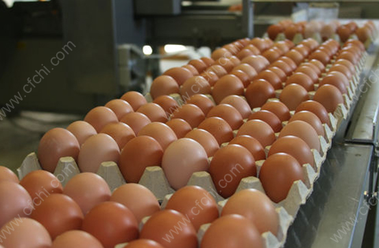 鸡蛋期货怎么做，鸡蛋期货好做吗?