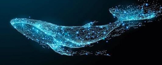 什么是加密鲸鱼追踪？关于加密货币市场鲸鱼追踪的介绍